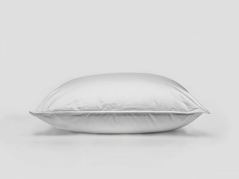 Ogallala Laurel Down Pillow image