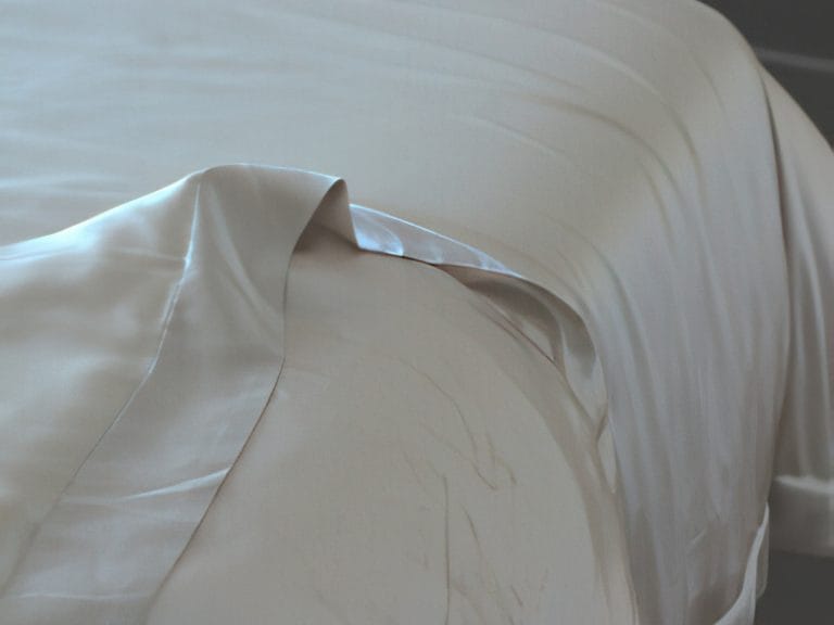 Perle Silk Charmeuse Silk Duvet Cover image