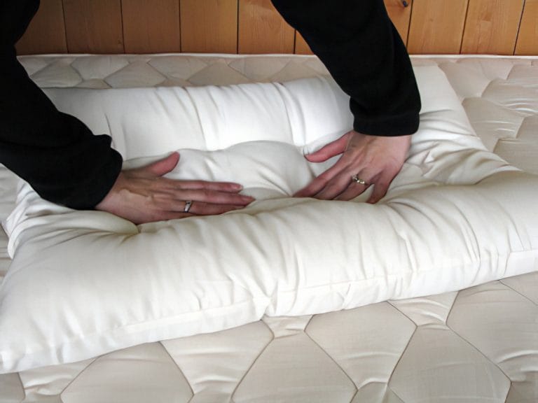 Holy Lamb Organics All-Natural Orthopedic Neck Pillow image