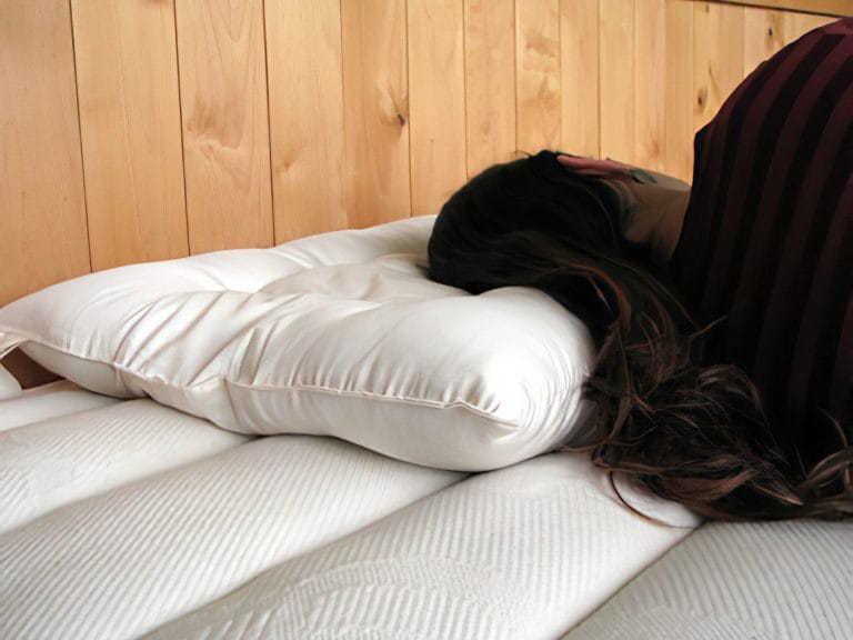 Holy Lamb Organics All-Natural Orthopedic Neck Pillow image