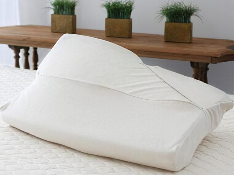 Savvy rest best sale pillow