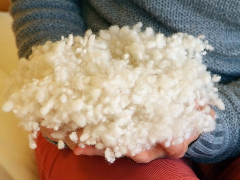 Holy Lamb Organics All-Natural Woolly Down Bed Pillow image