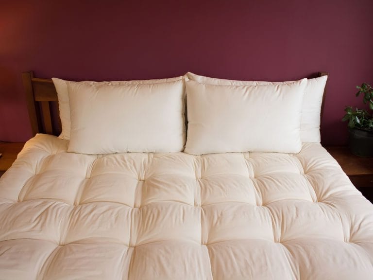Bed bath and on sale beyond latex pillow