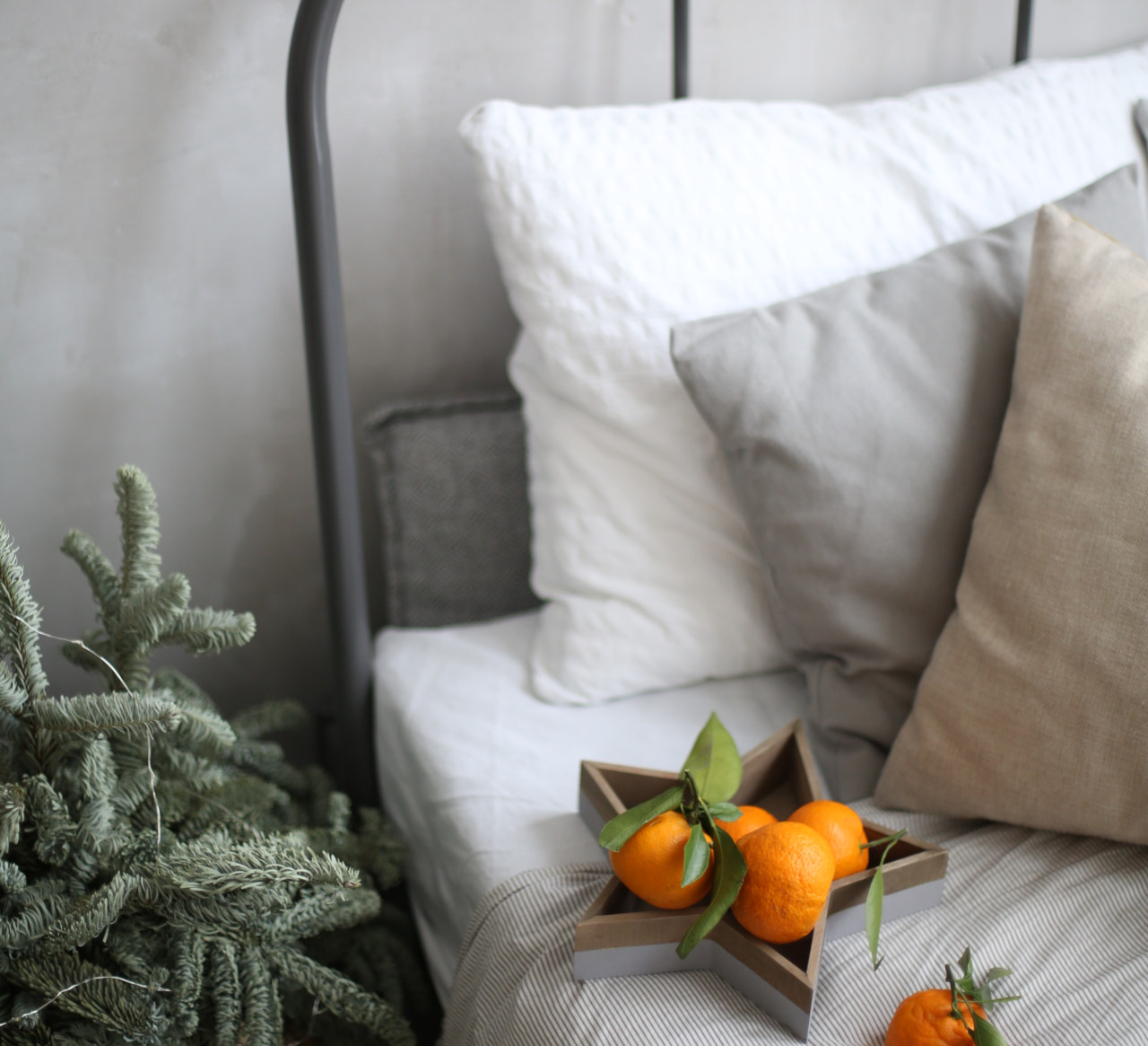 Orange fruit on green plant