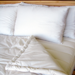 Holy Lamb Organics Comforter and Pillow