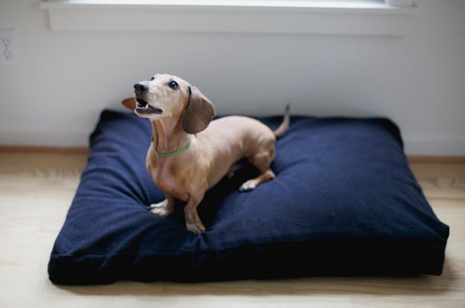 natural pet bed