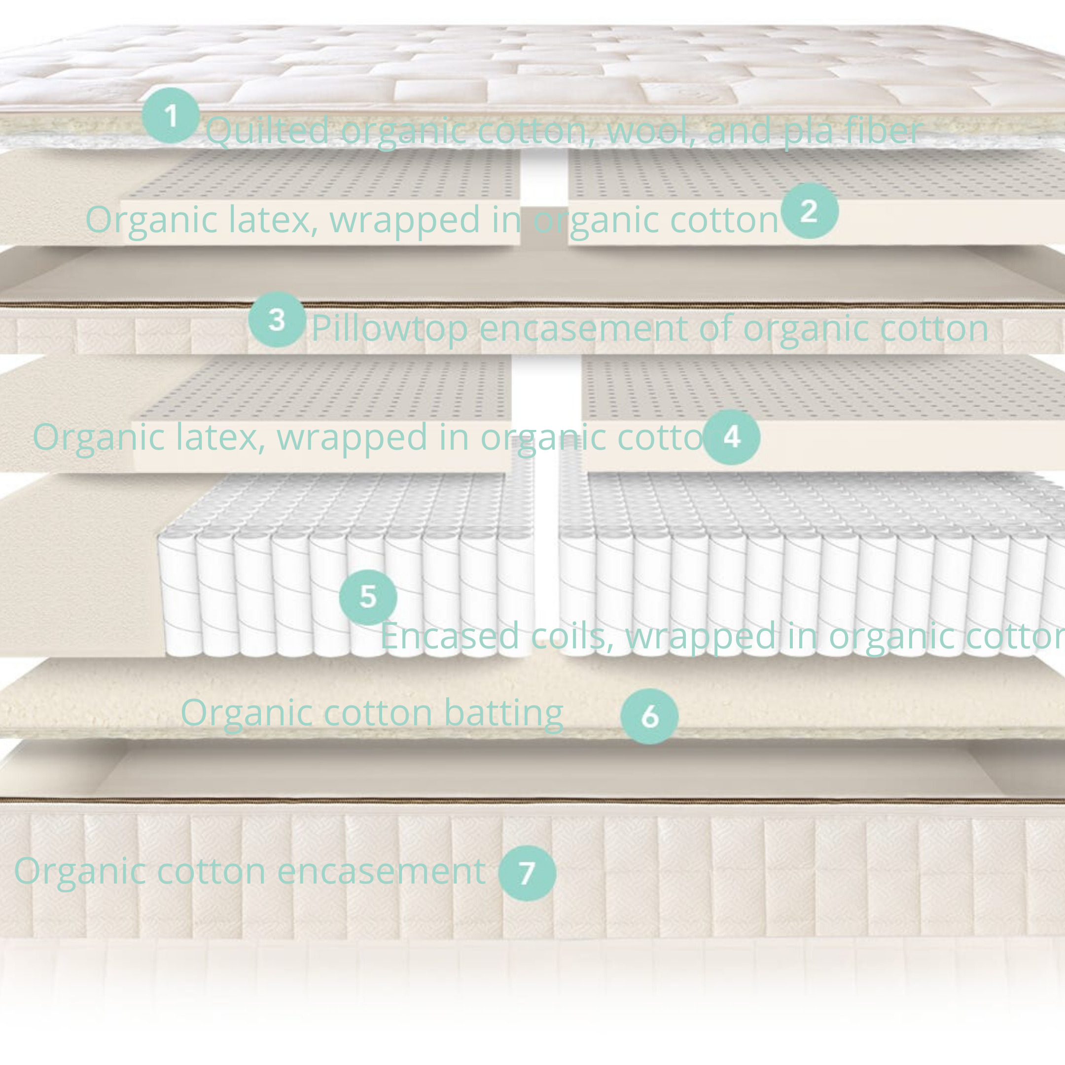 naturepedic eos classic