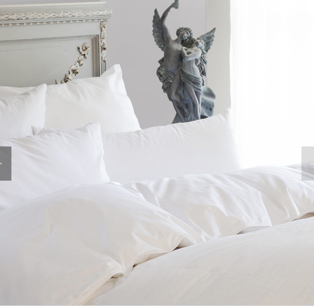 St Geneve Ziegler Down Comforter filled with Polish Goose Down Down