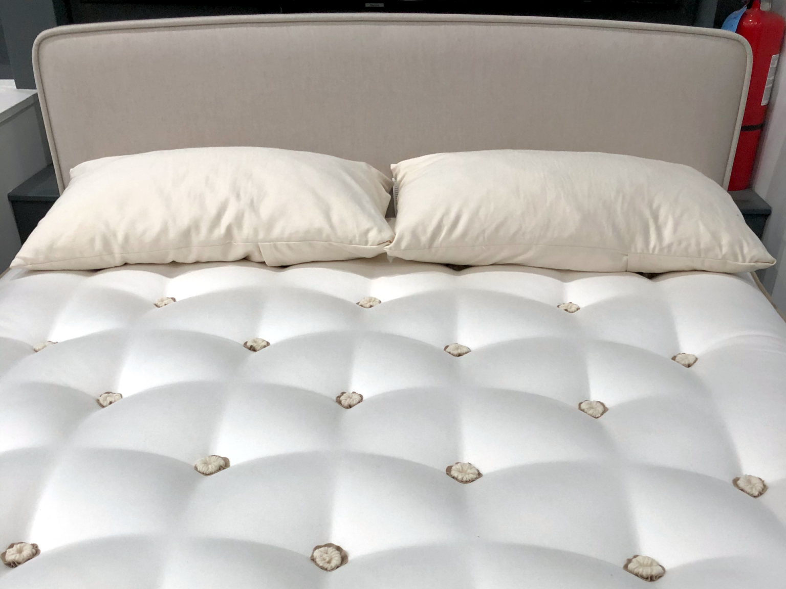 Naturally Organic Shredded Organic Latex Pillow Pillows The Clean