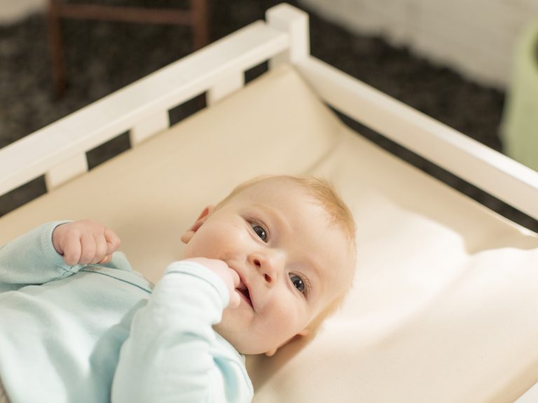 Naturepedic Organic Cotton Changing Pad image