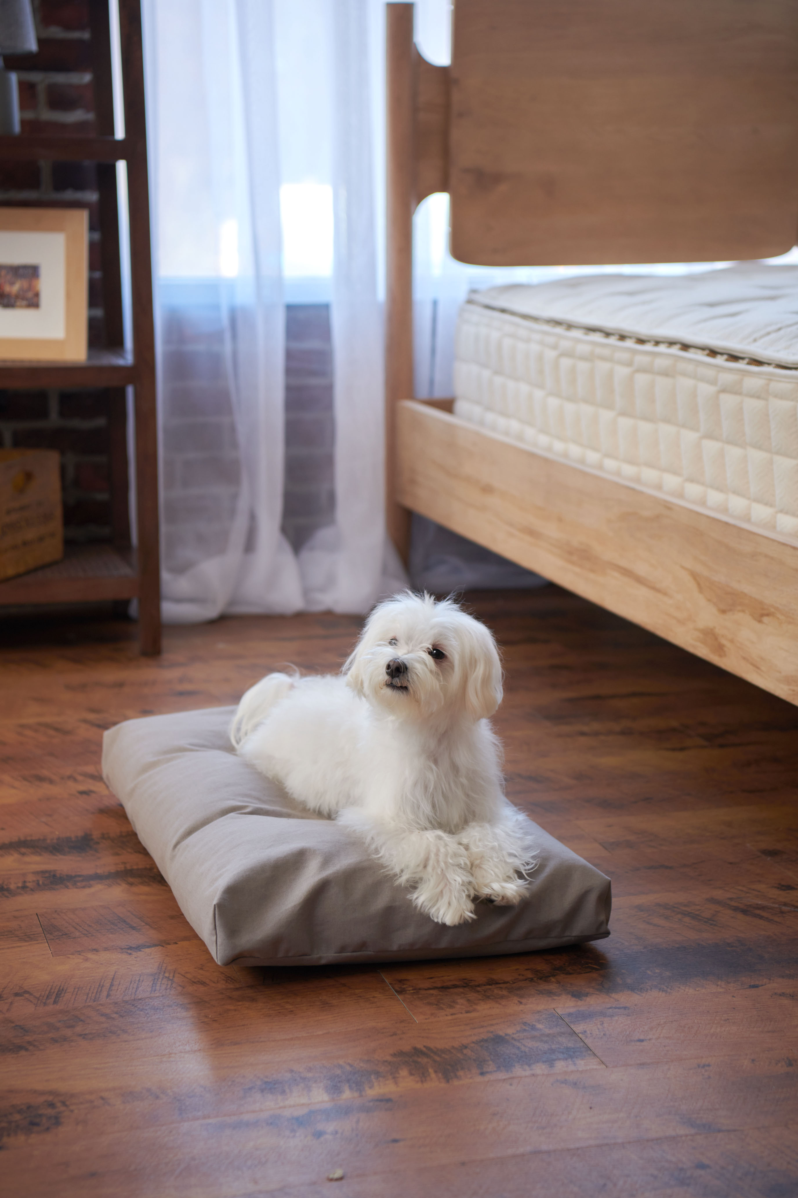 Naturepedic Organic Pet Bed with Washable Waterproof Cover
