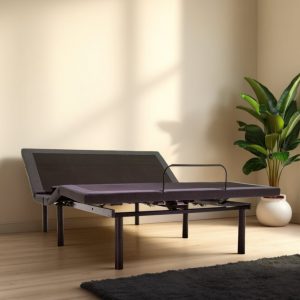 The Clean Bedroom (Level 4) Adjustable Bed Base