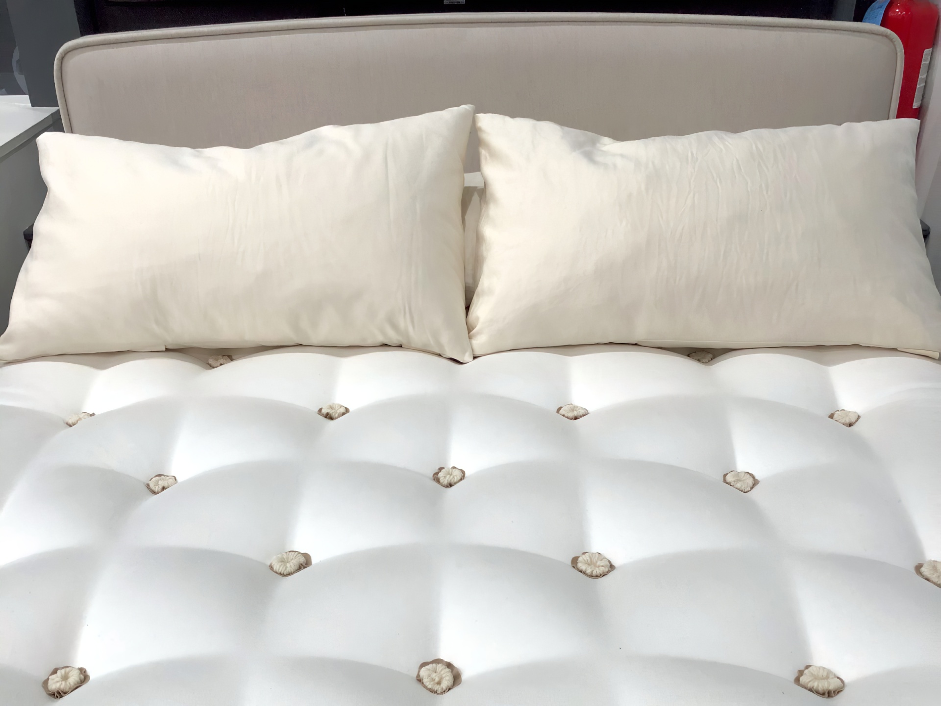 Naturally Organic Hudson Shredded Latex Pillow