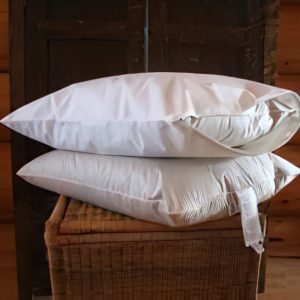 Organic Dust Mite Pillow Cover and Encasement