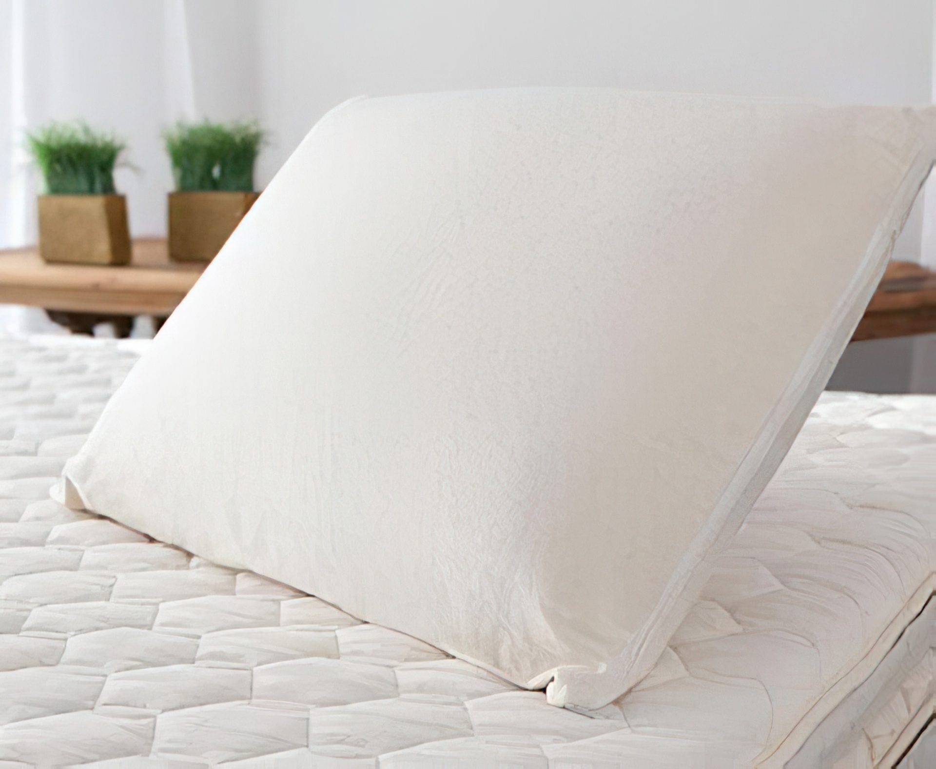 Savvy Rest Organic Latex Pillow - Soap Shape