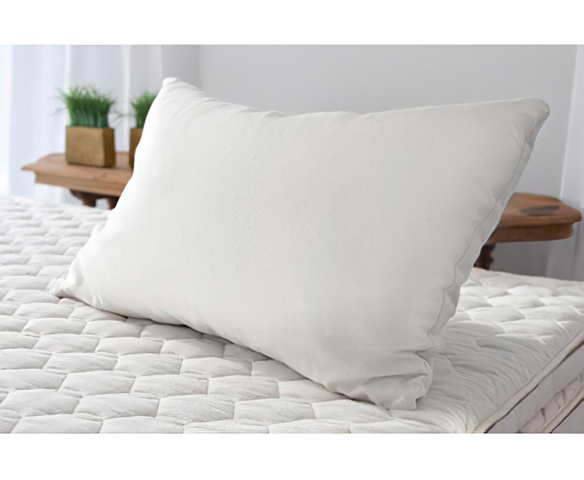 Organic Wool Pillow Wool