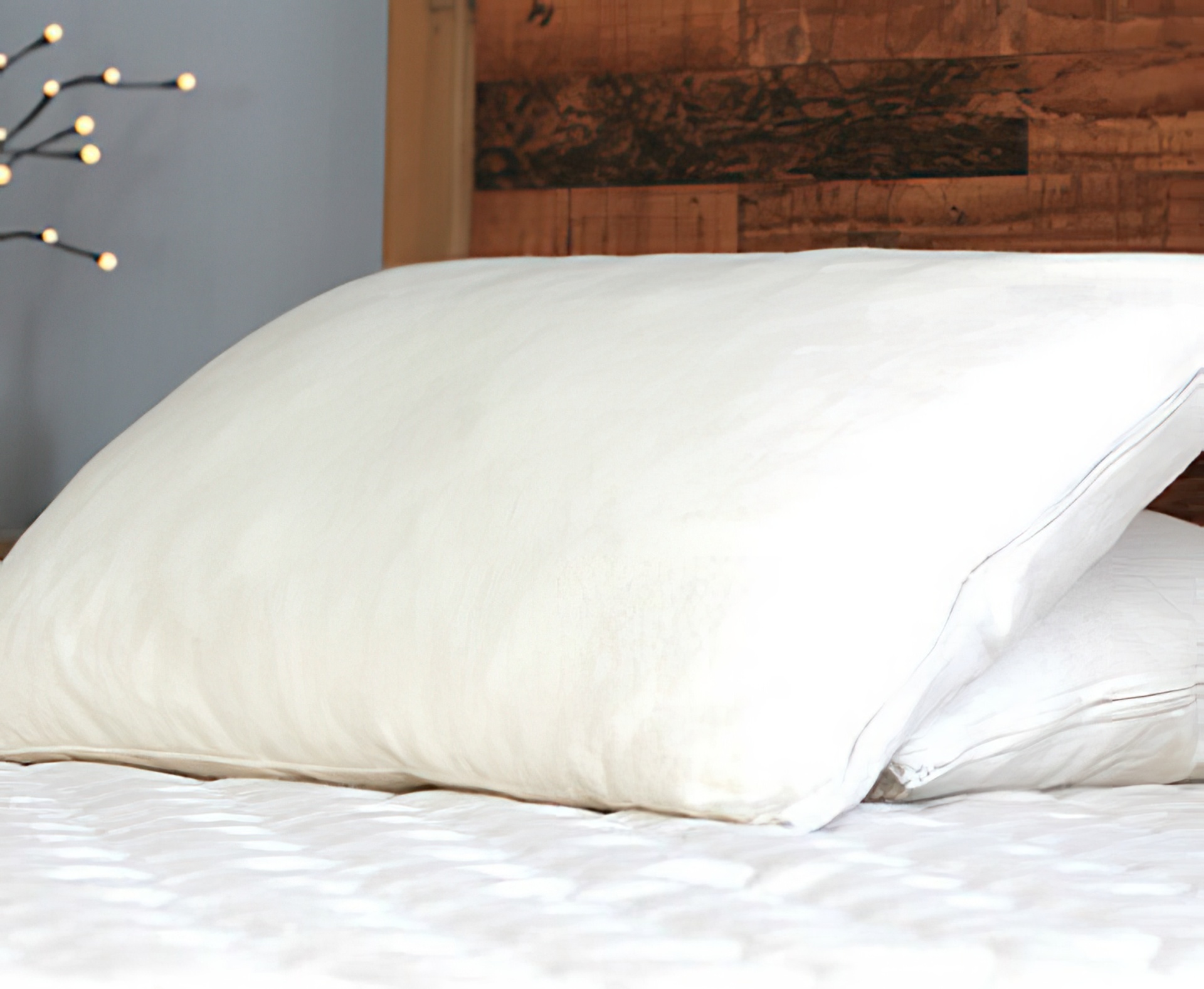 Savvy Rest Organic Kapok Pillow Kapok