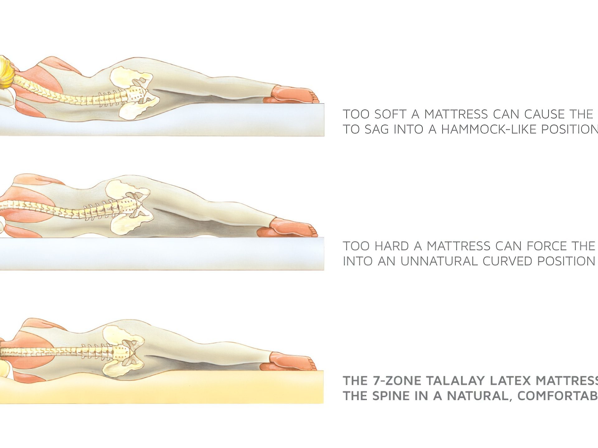 Royal Pedic Premier Natural Latex Organic Quilttop Mattress Natural